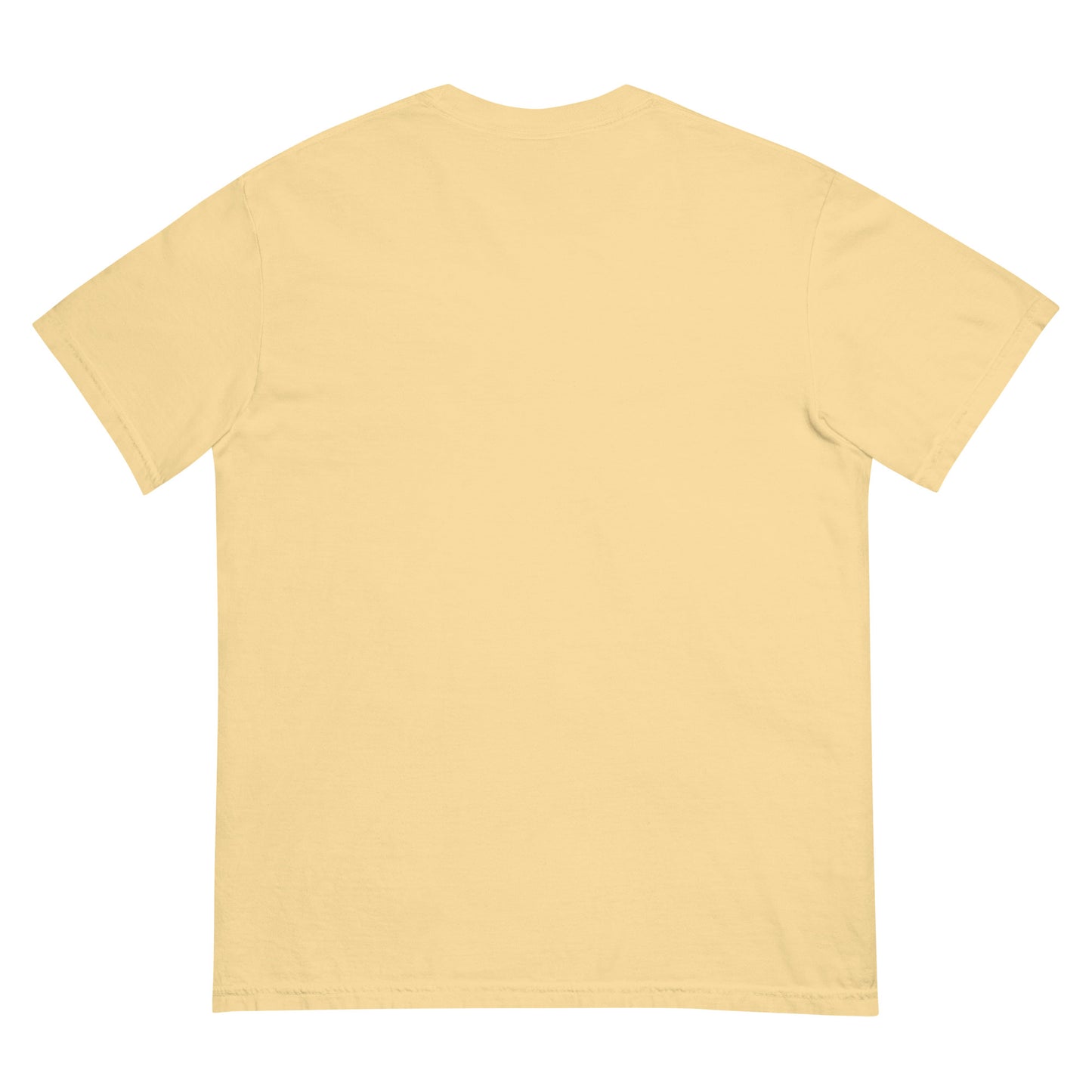 'Big Dipper' garment-dyed heavyweight t-shirt