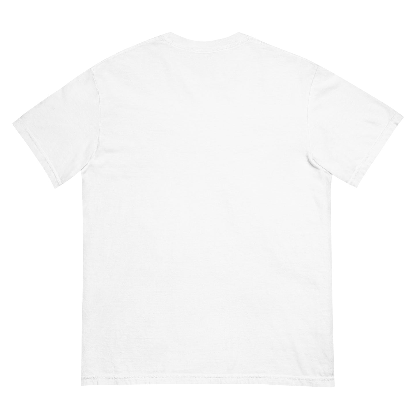 'Big Dipper' garment-dyed heavyweight t-shirt